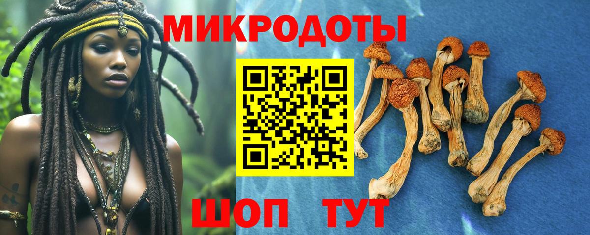 Галлюциногенные грибы MAGIC MUSHROOMS  Вход с VPN  Тольятти 